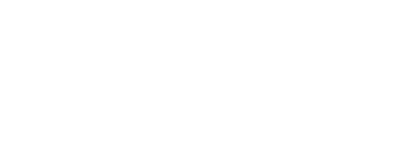 dbs_logo_white